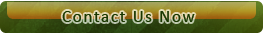 contact-us