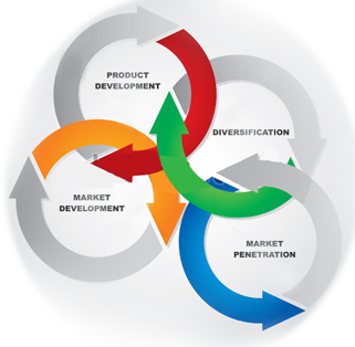 market development